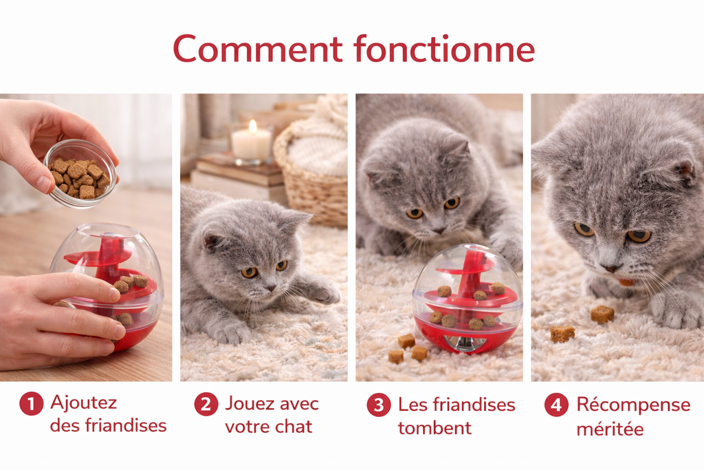 🟢🍽️ Interactive Cat Food Ball
