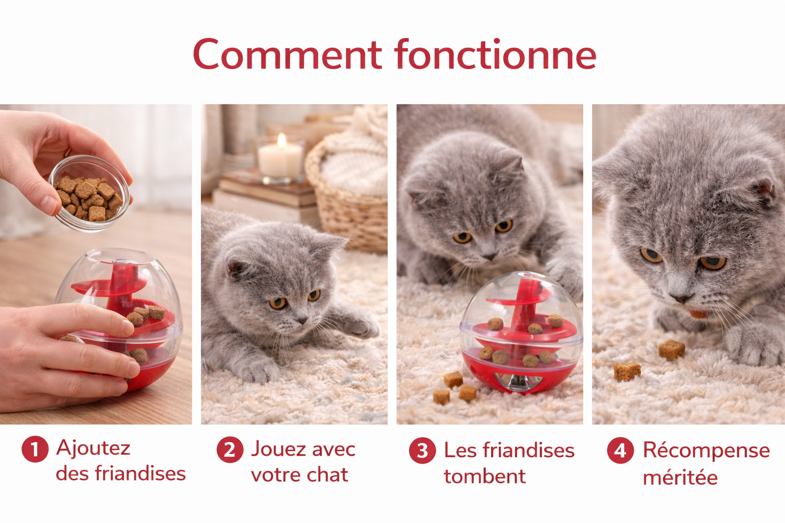 🟢🍽️ Interactive Cat Food Ball