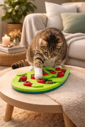 🧠🍽️ Interactive food puzzle for cats