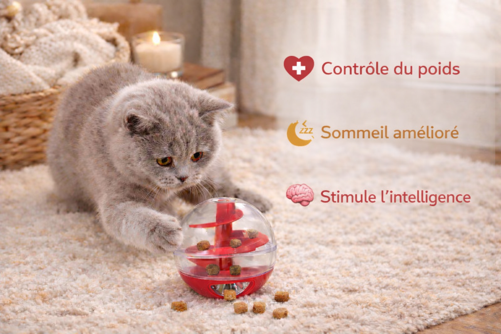 🟢🍽️ Interactive Cat Food Ball