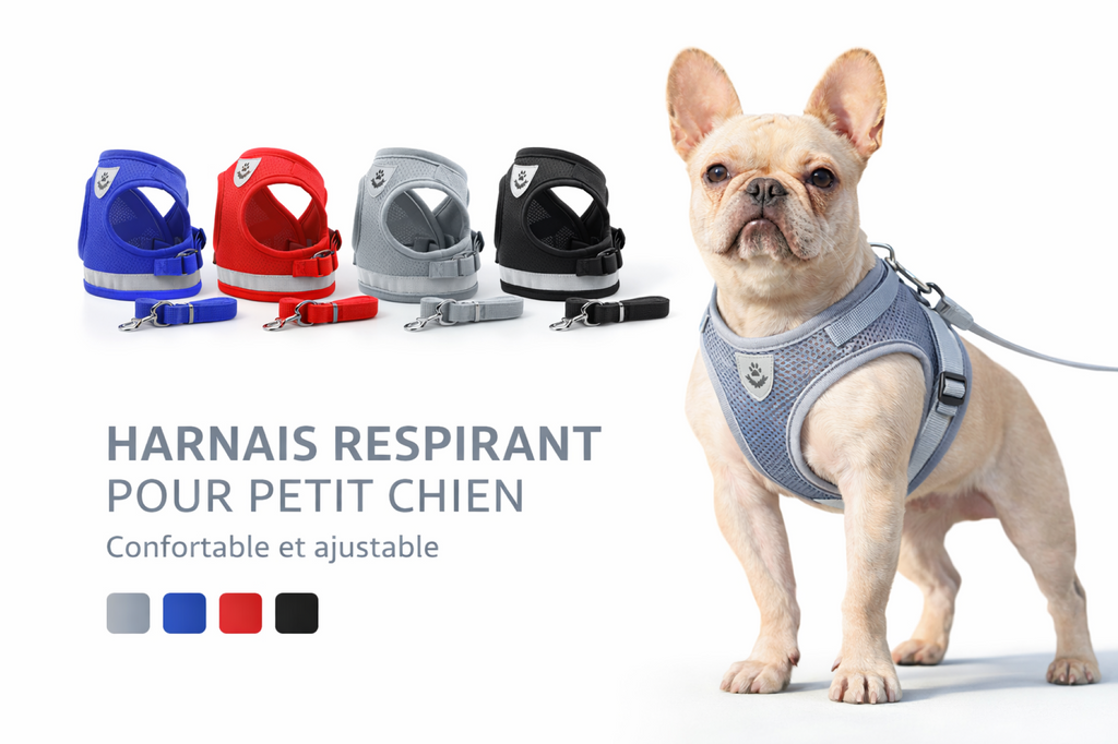 🦺 Breathable Harness for Puppies & Very Small Dogs
