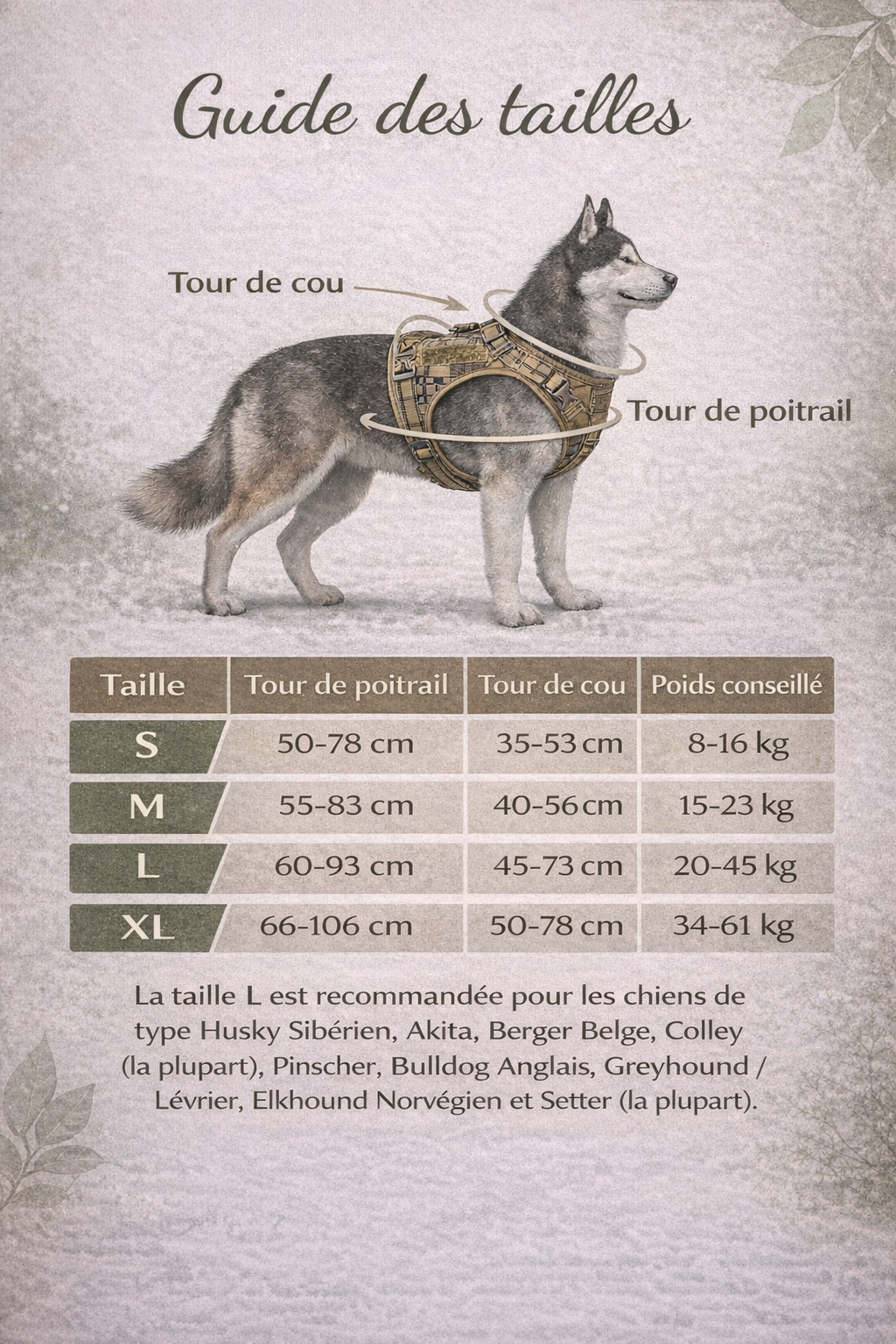 🐕 Harnais B - Contrôle renforcé & robustesse Pour chiens puissants et environnements exigeants
