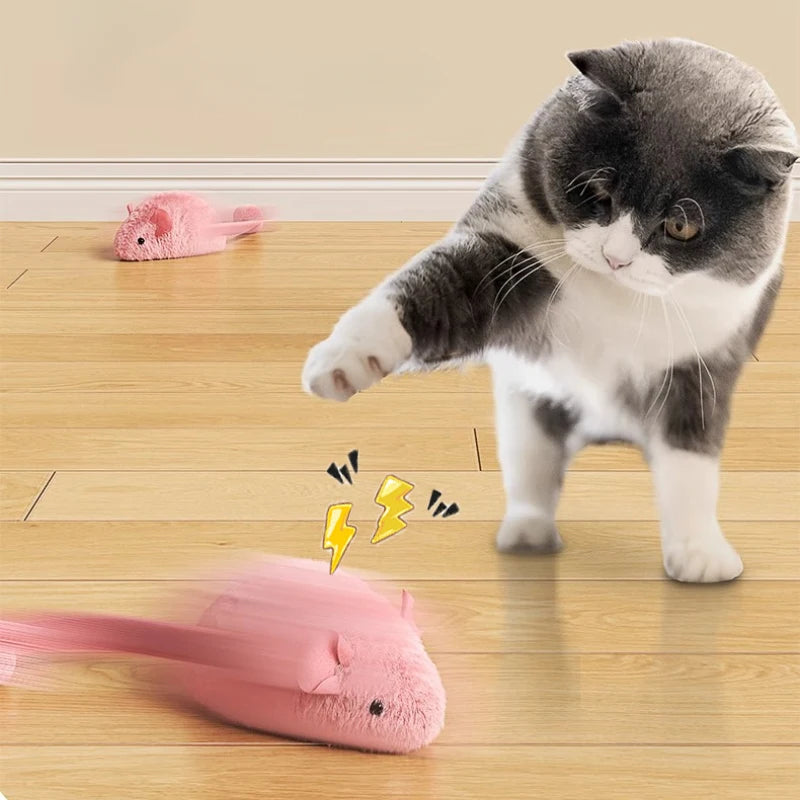 🐭 Plush cat mouse toy