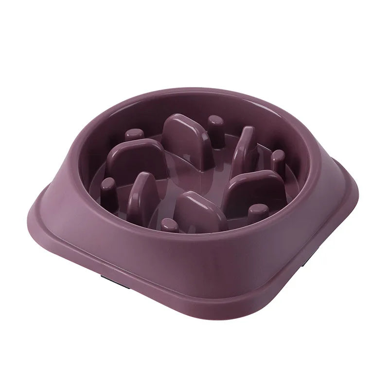 🍽️ Slow feeder cat bowl