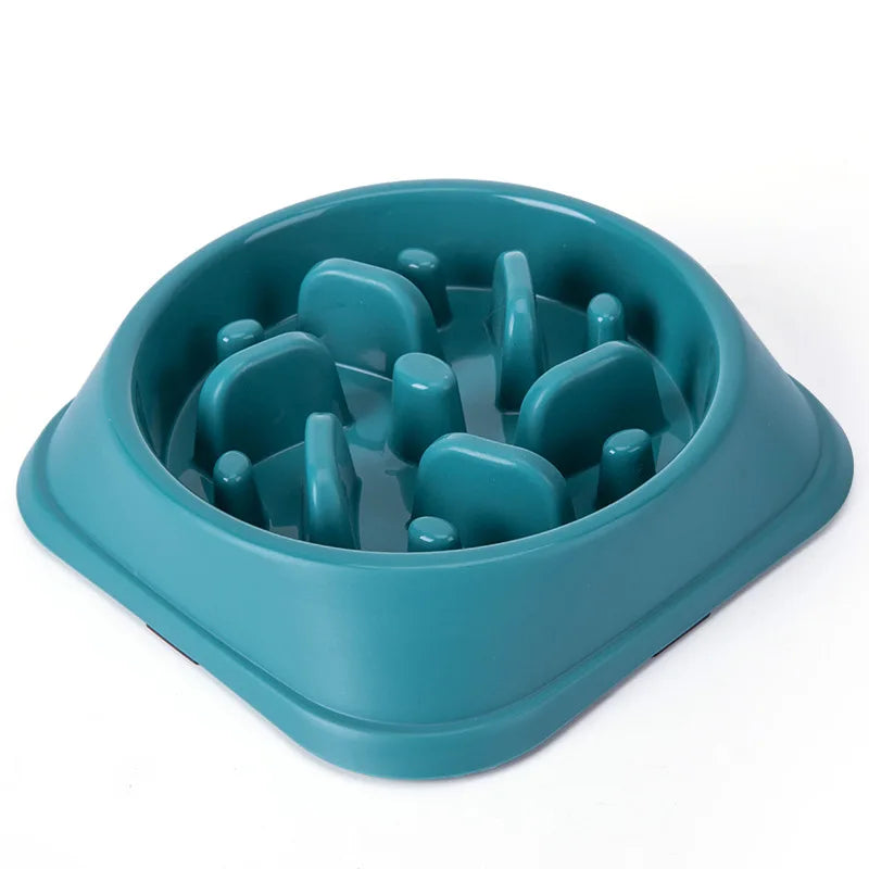 🥣 Gamelle anti-glouton — Petits chiens & chats