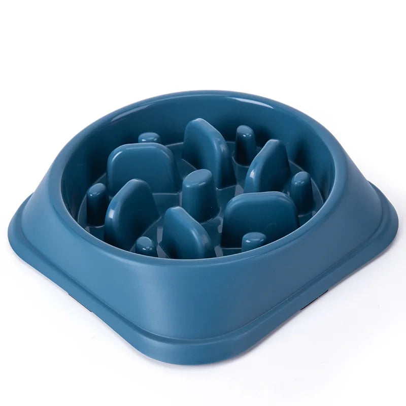 🥣 Gamelle anti-glouton — Petits chiens & chats