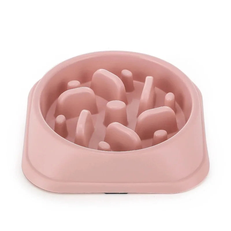 🥣 Gamelle anti-glouton — Petits chiens & chats