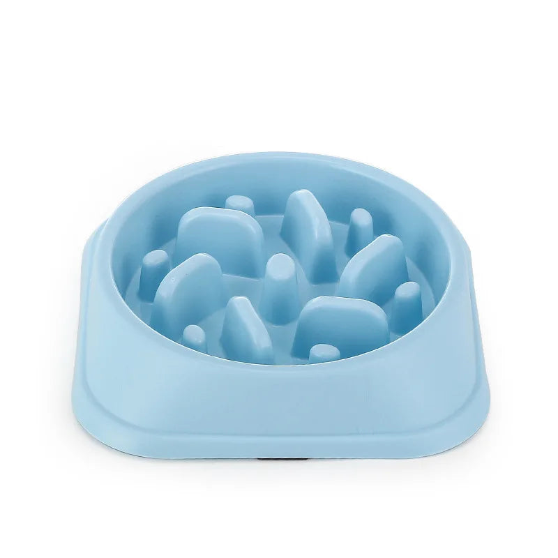 🥣 Gamelle anti-glouton — Petits chiens & chats
