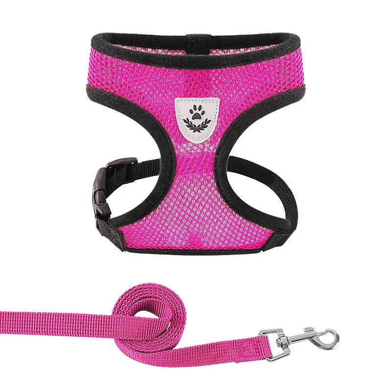 🦺 Breathable Harness for Puppies & Very Small Dogs