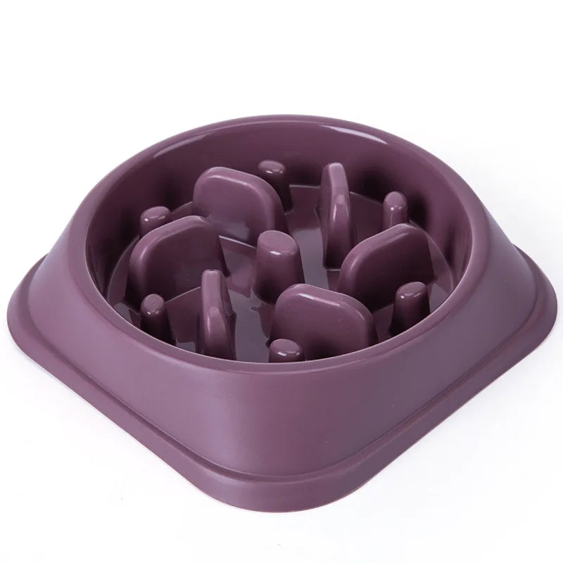 🥣 Gamelle anti-glouton — Petits chiens & chats