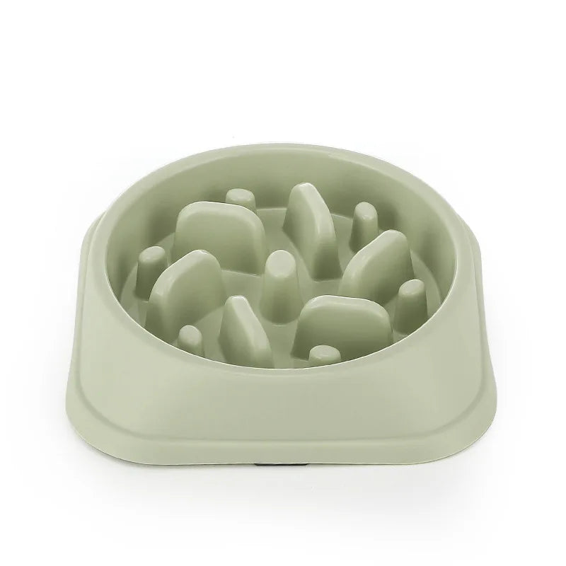 🥣 Gamelle anti-glouton — Petits chiens & chats