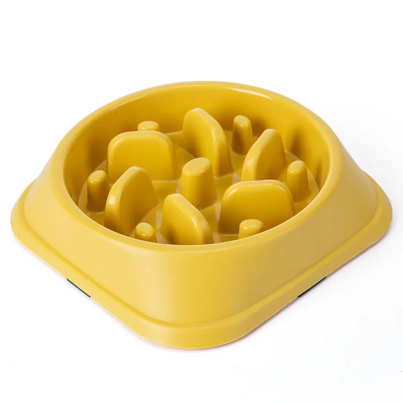 🥣 Gamelle anti-glouton — Petits chiens & chats